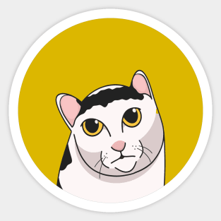 Calm Meme Cat Sticker